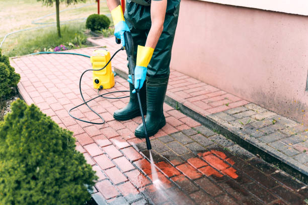 Best Affordable Pressure Washing  in Brighton, MI