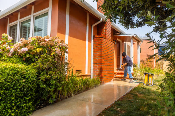 Best Pressure Washing Estimates  in Brighton, MI