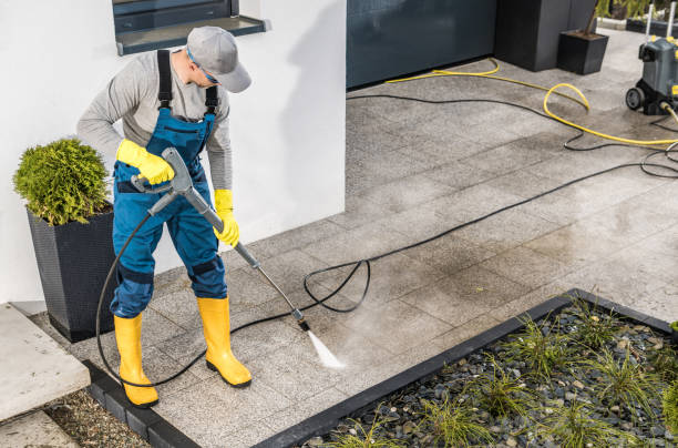 Best Pressure Washing Company Near Me  in Brighton, MI