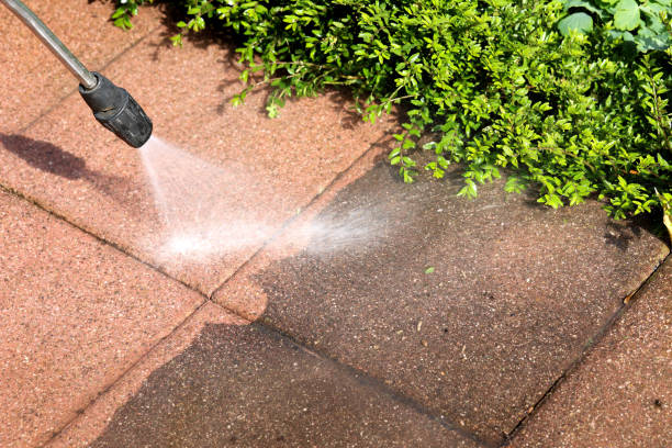 Best Affordable Power Washing  in Brighton, MI